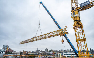 Removal of the Construction Crane